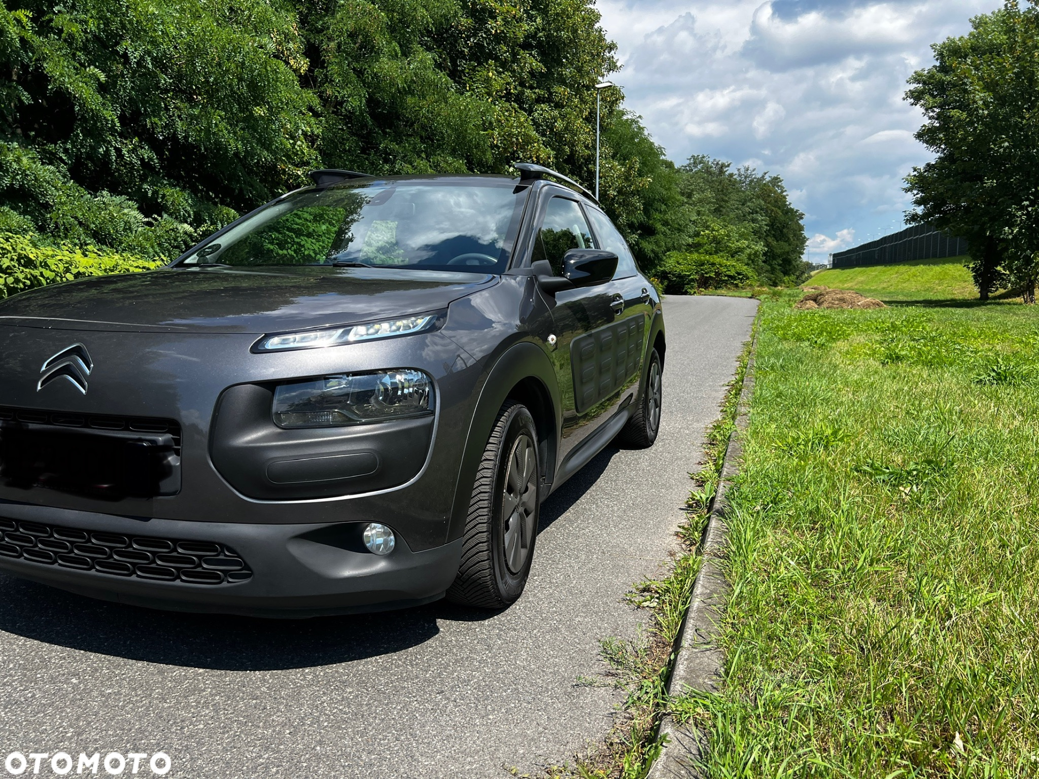 Citroën C4 Cactus 1.6 Blue HDi Shine Edition - 19