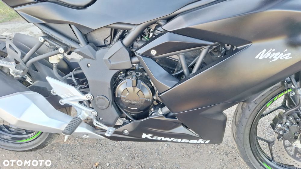 Kawasaki Ninja - 9