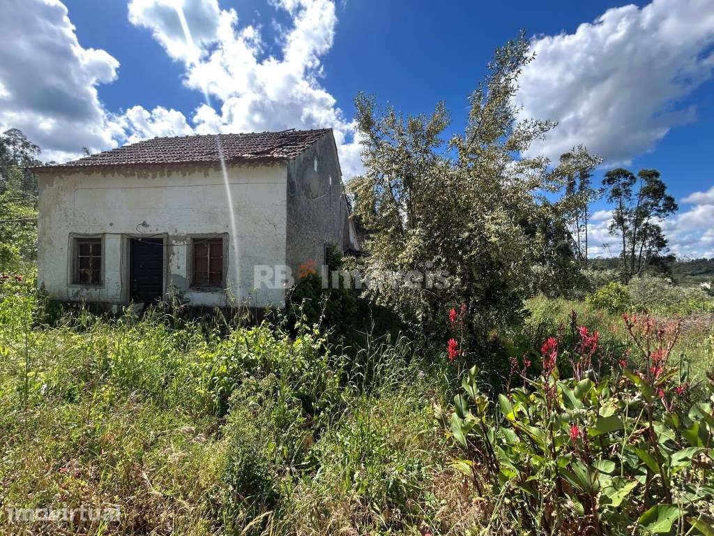 Casa para recuperar com terreno - Telhadas, Ferreira do Zêzere - Grande imagem: 3/32