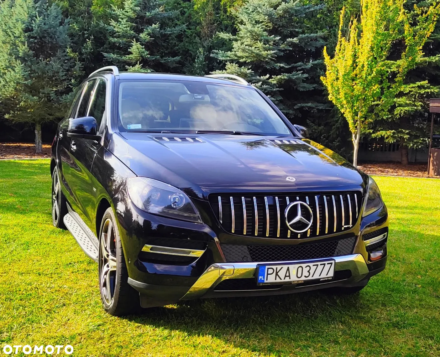 Mercedes-Benz ML 250 BlueTec 4-Matic - 4