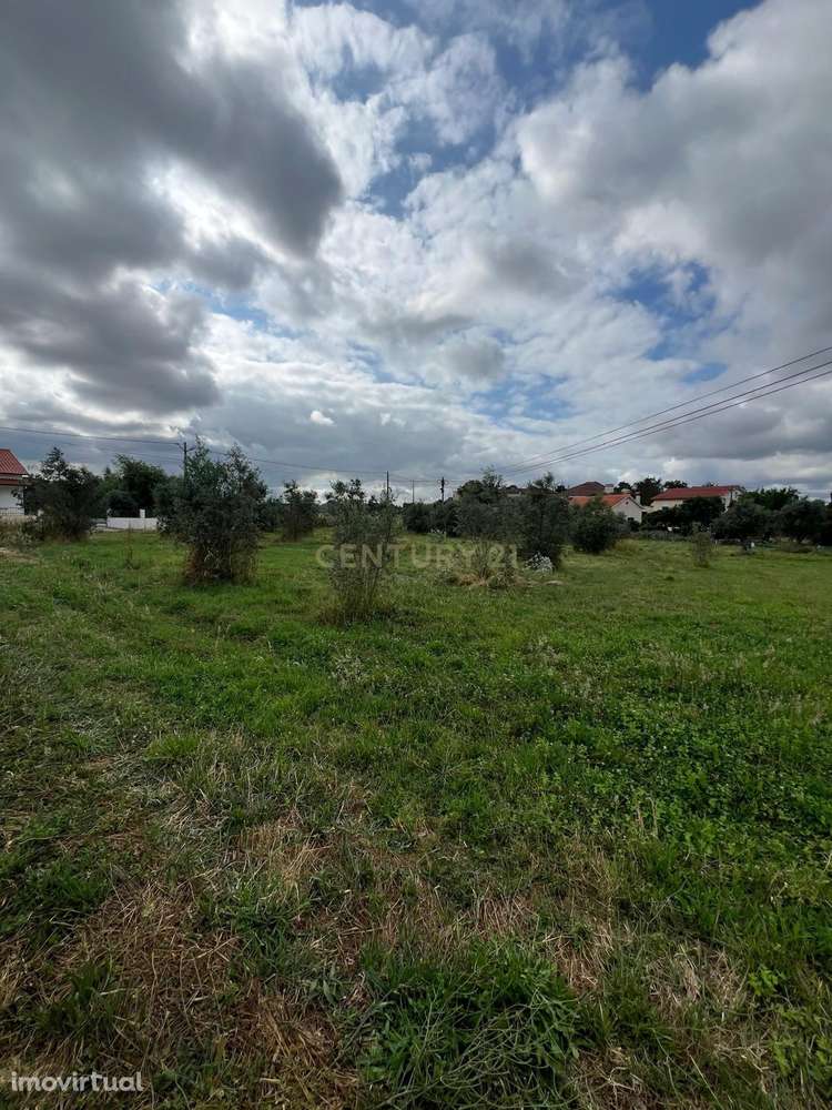 Terreno urbanizável - Ferrarias - Maças D. Maria - Grande imagem: 3/7