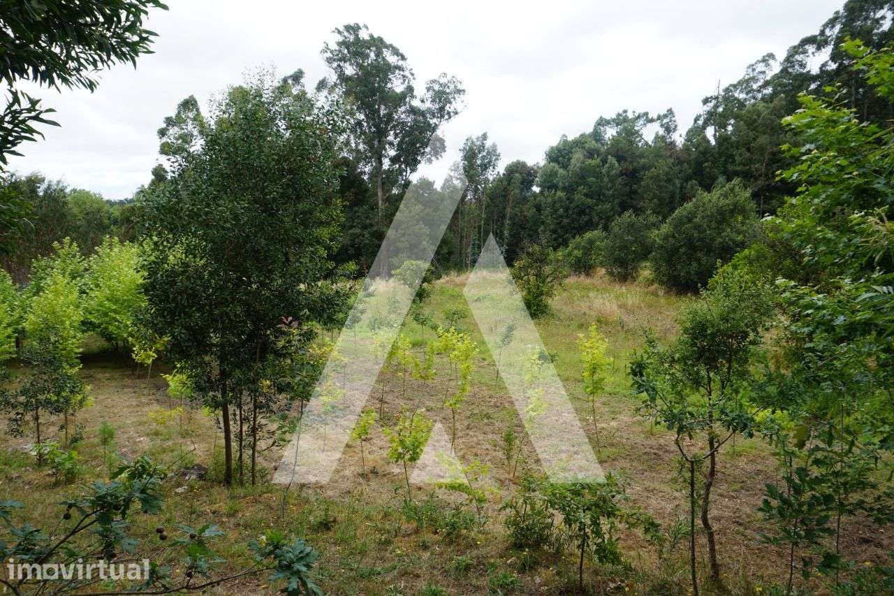 Terreno agrícola situado na zona de Horta em Eixo, Aveiro - Grande imagem: 3/25