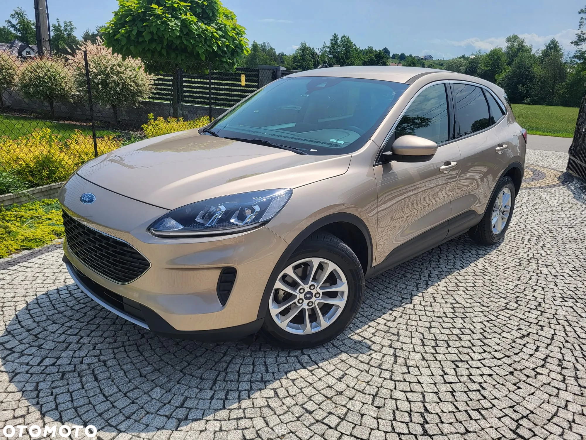 Ford Kuga 1.5 EcoBoost 4x4 Individual - 20
