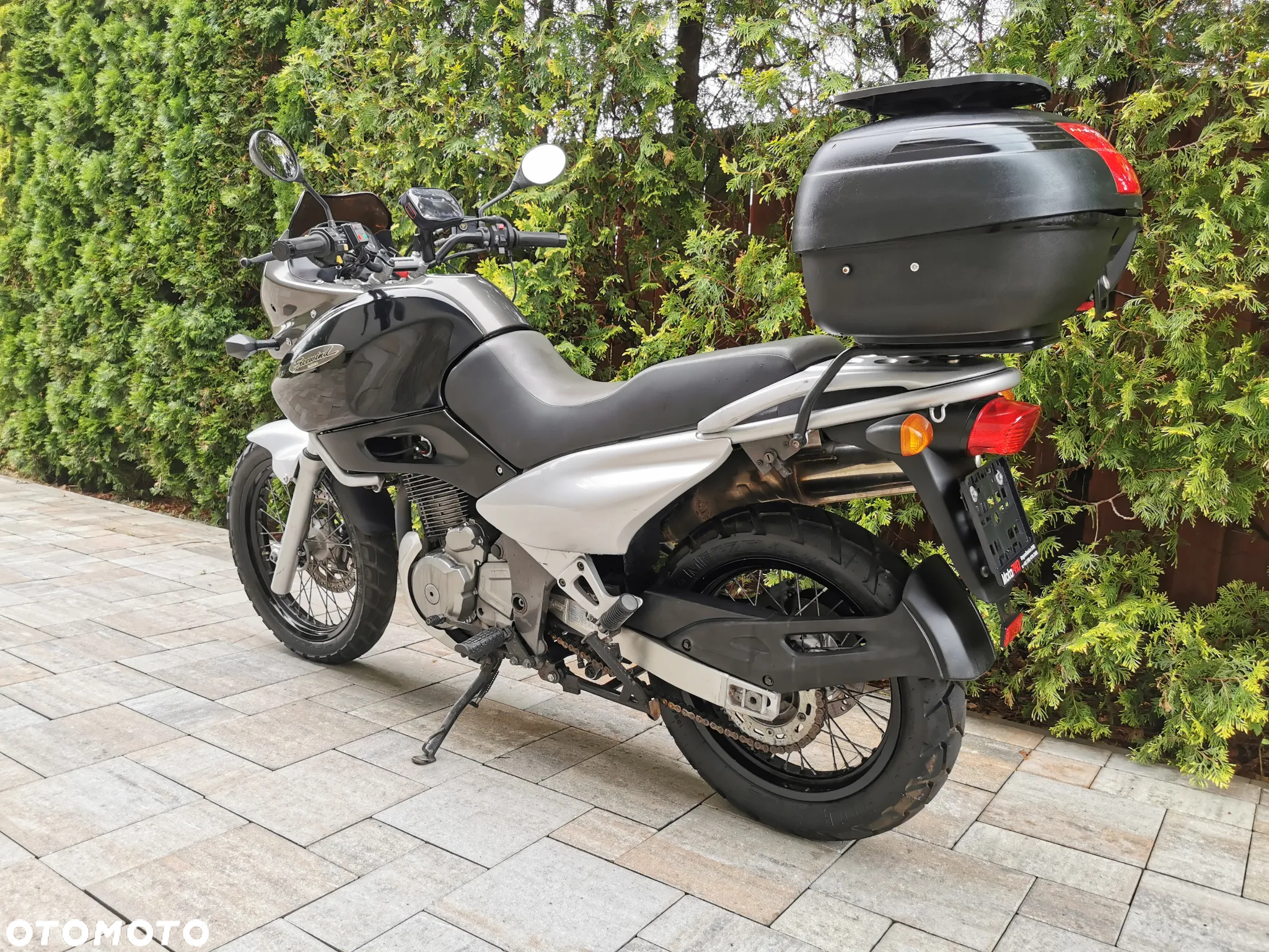 Suzuki XF - 6
