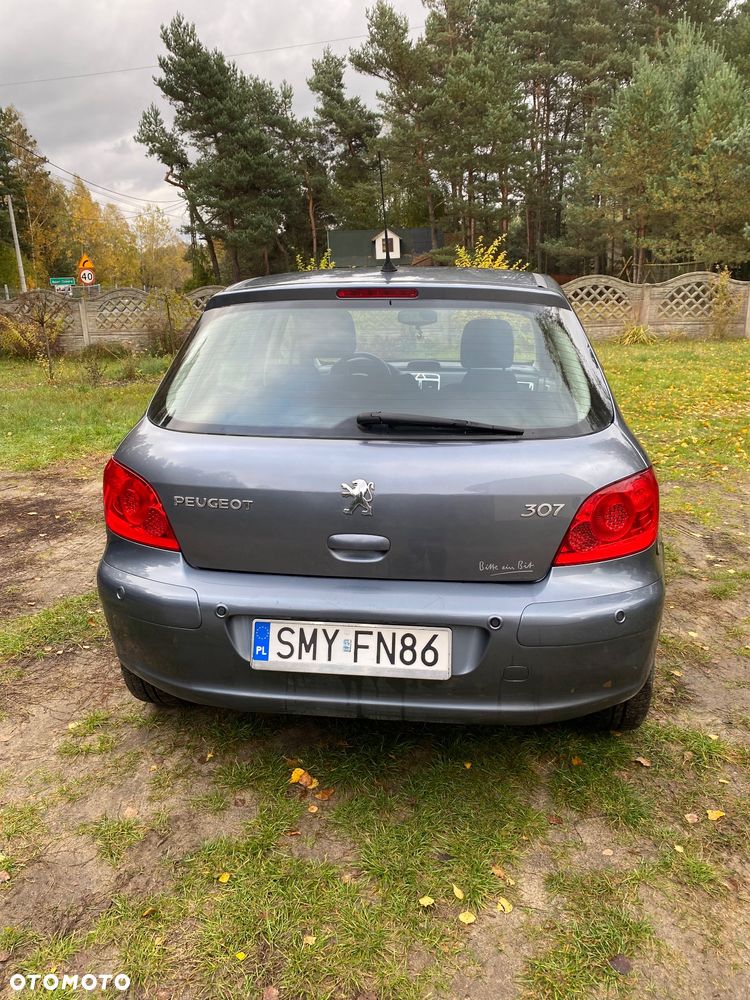 Peugeot 307 - 6