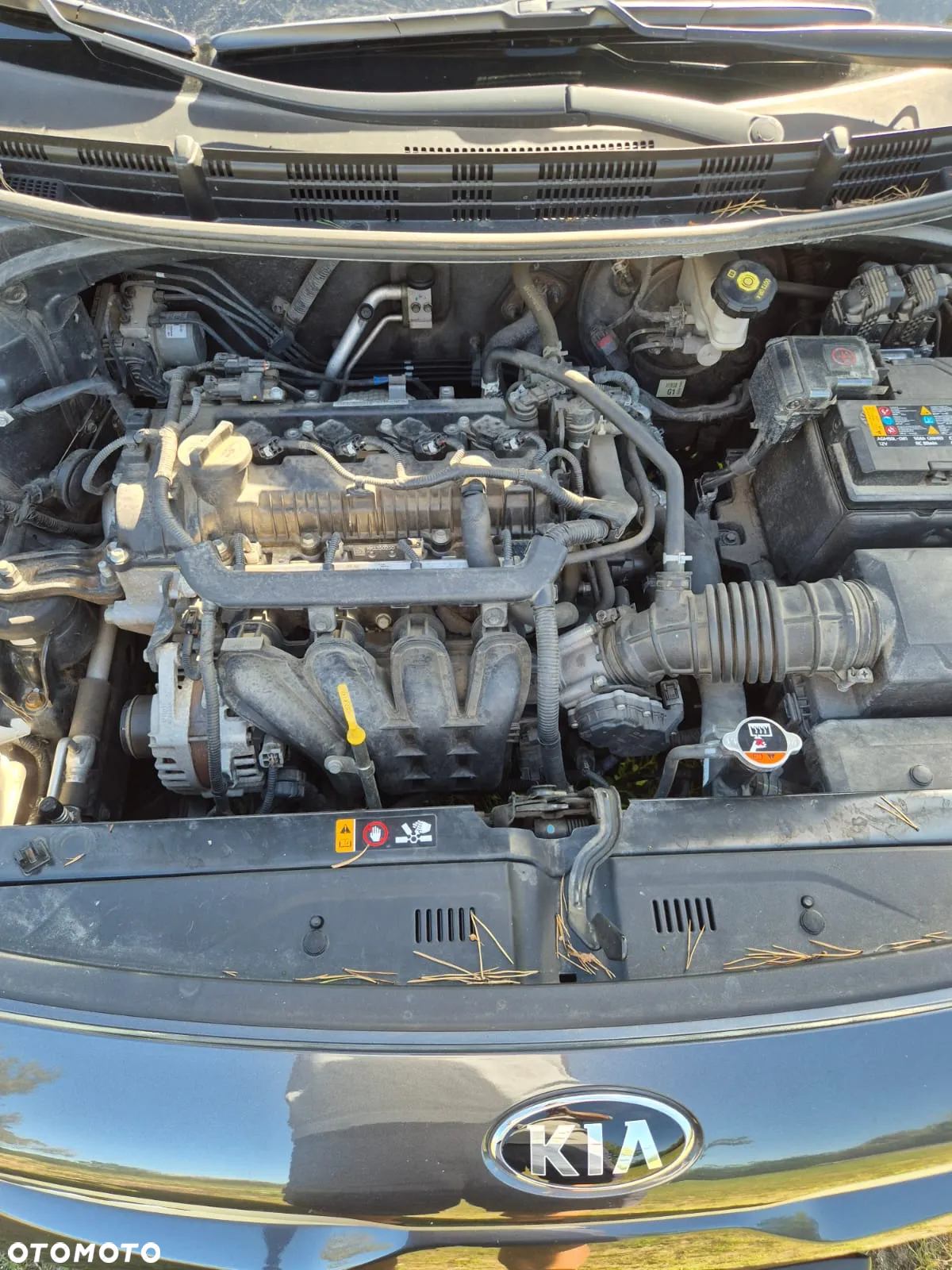 Kia Rio 1.2 L - 6