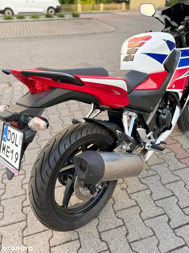 Honda CBR - 13