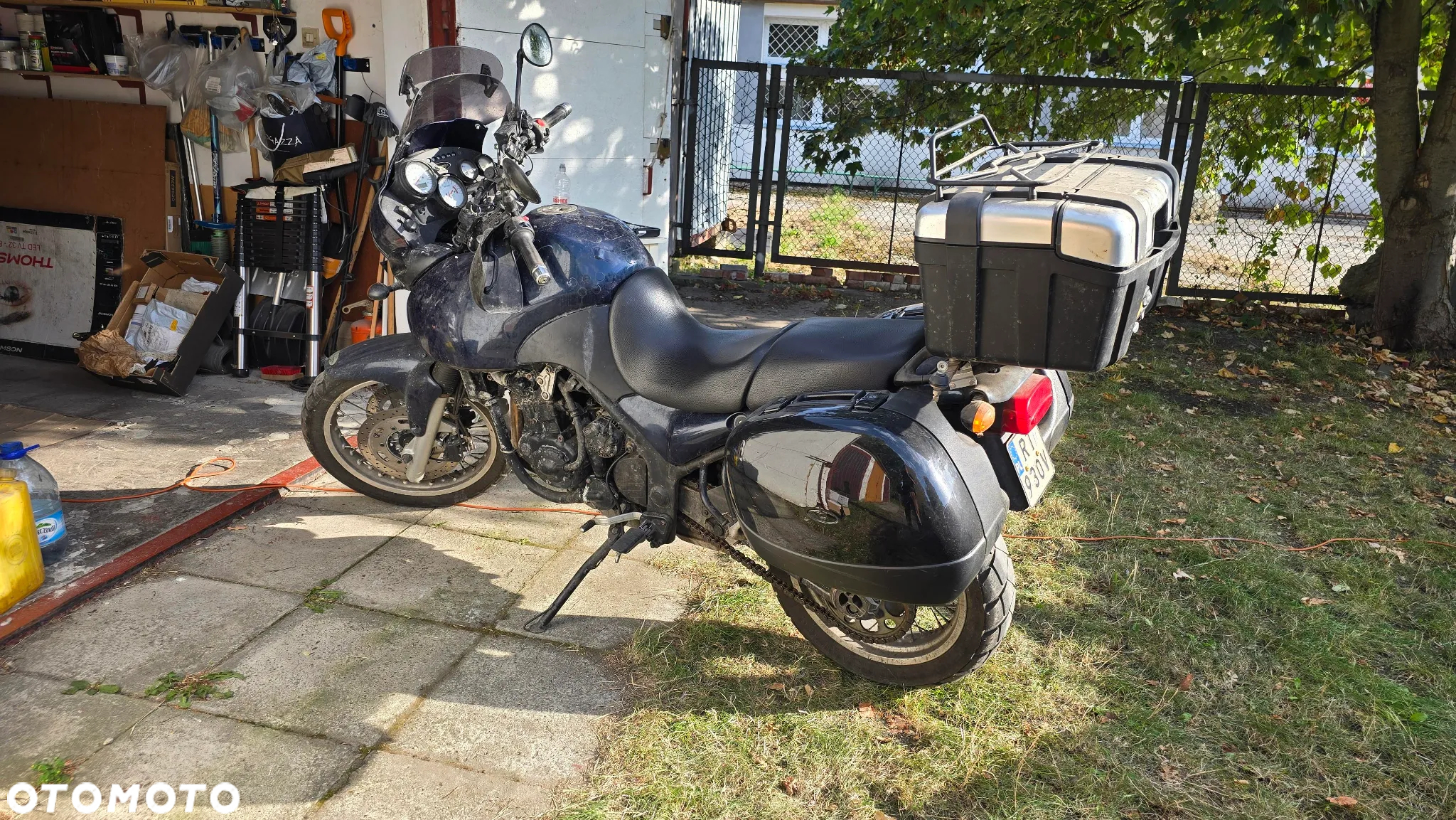 Triumph Tiger - 17