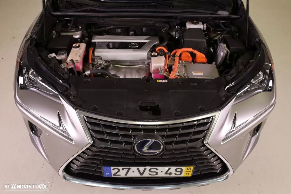 Lexus NX 300h - 10