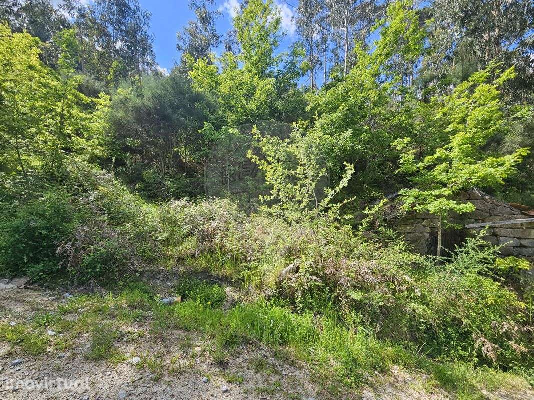 Terreno  para venda - Grande imagem: 3/12