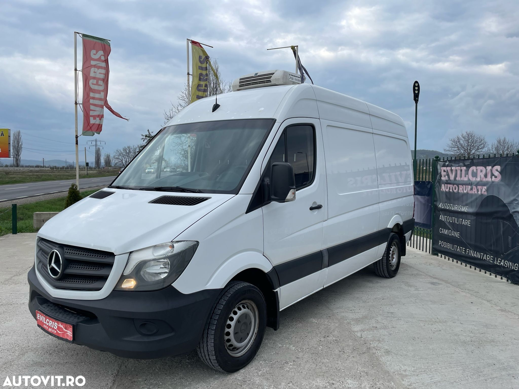 Mercedes-Benz Sprinter FRIGORIFIC THERMO KING - 29