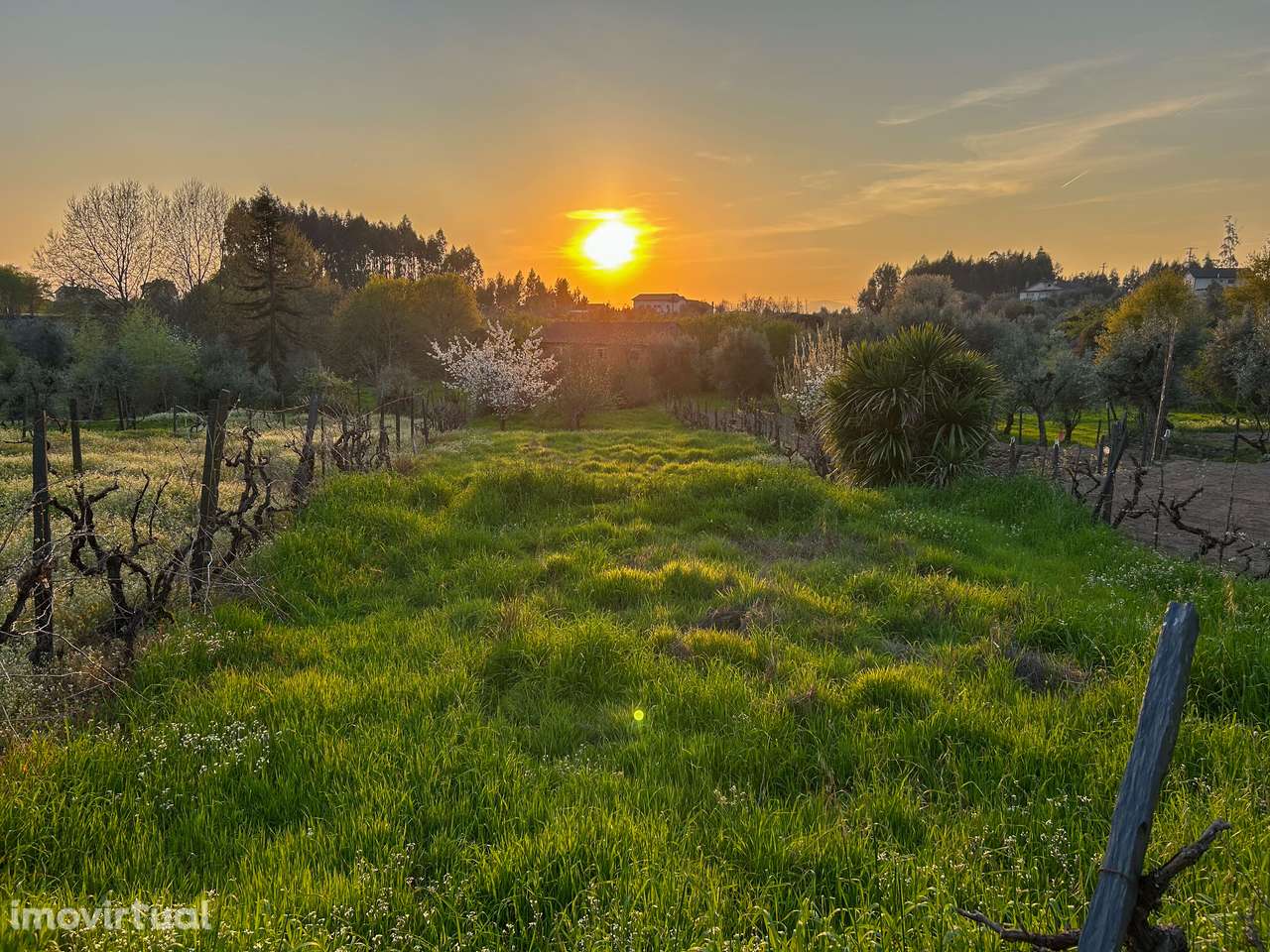 Terreno com 863 m², situado em zona tranquila e de fácil acesso. - Grande imagem: 5/10