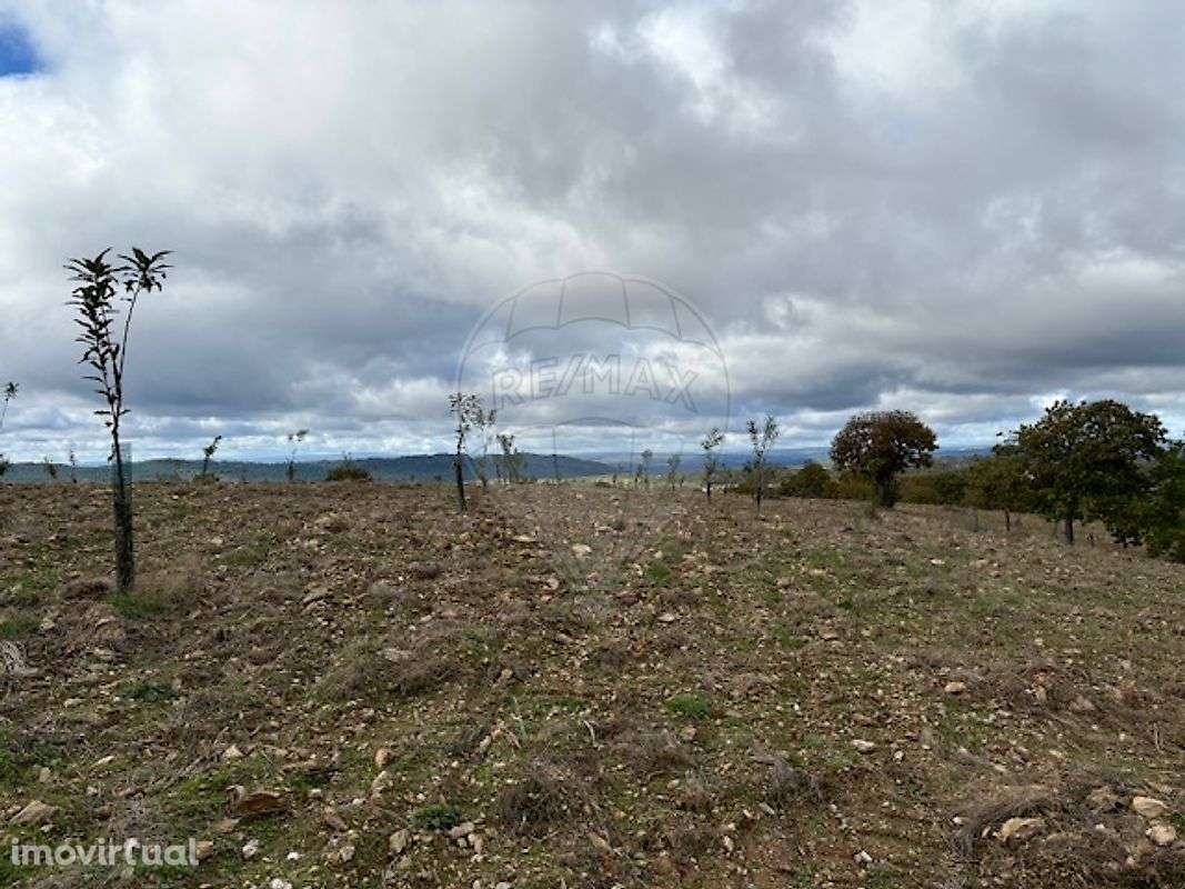 Terreno  para venda - Grande imagem: 3/6