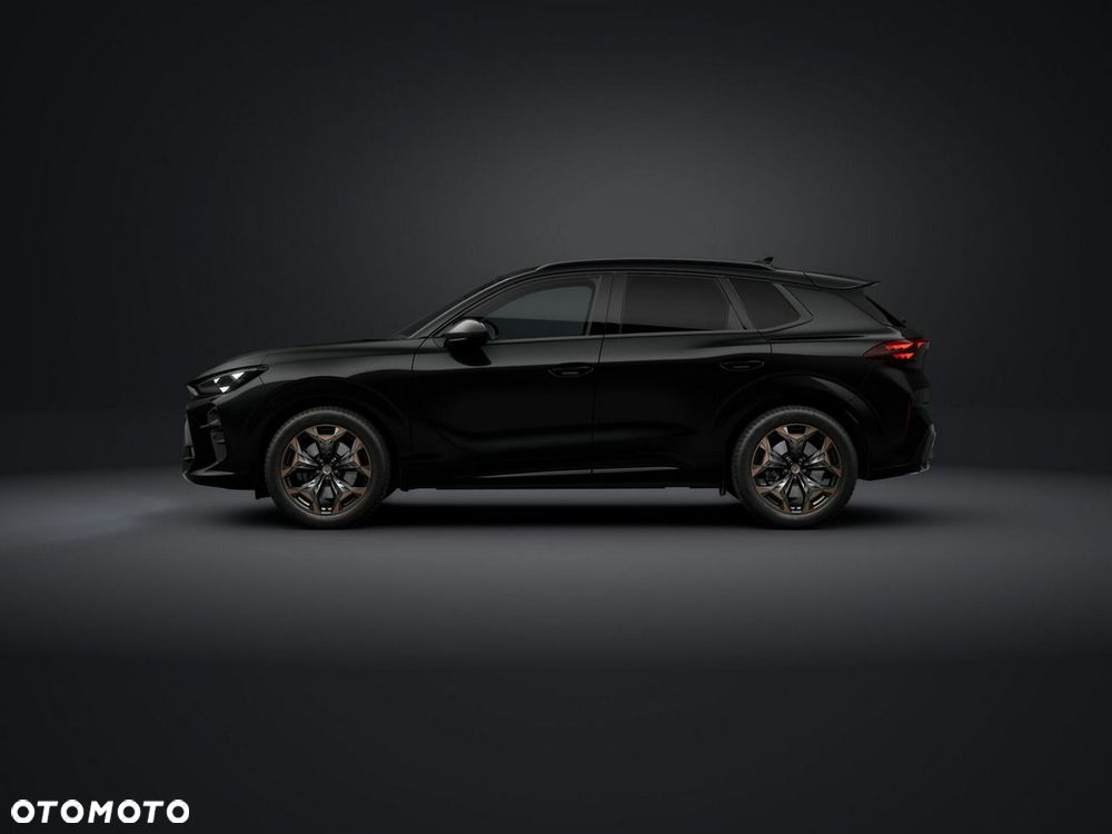 Cupra Terramar - 2