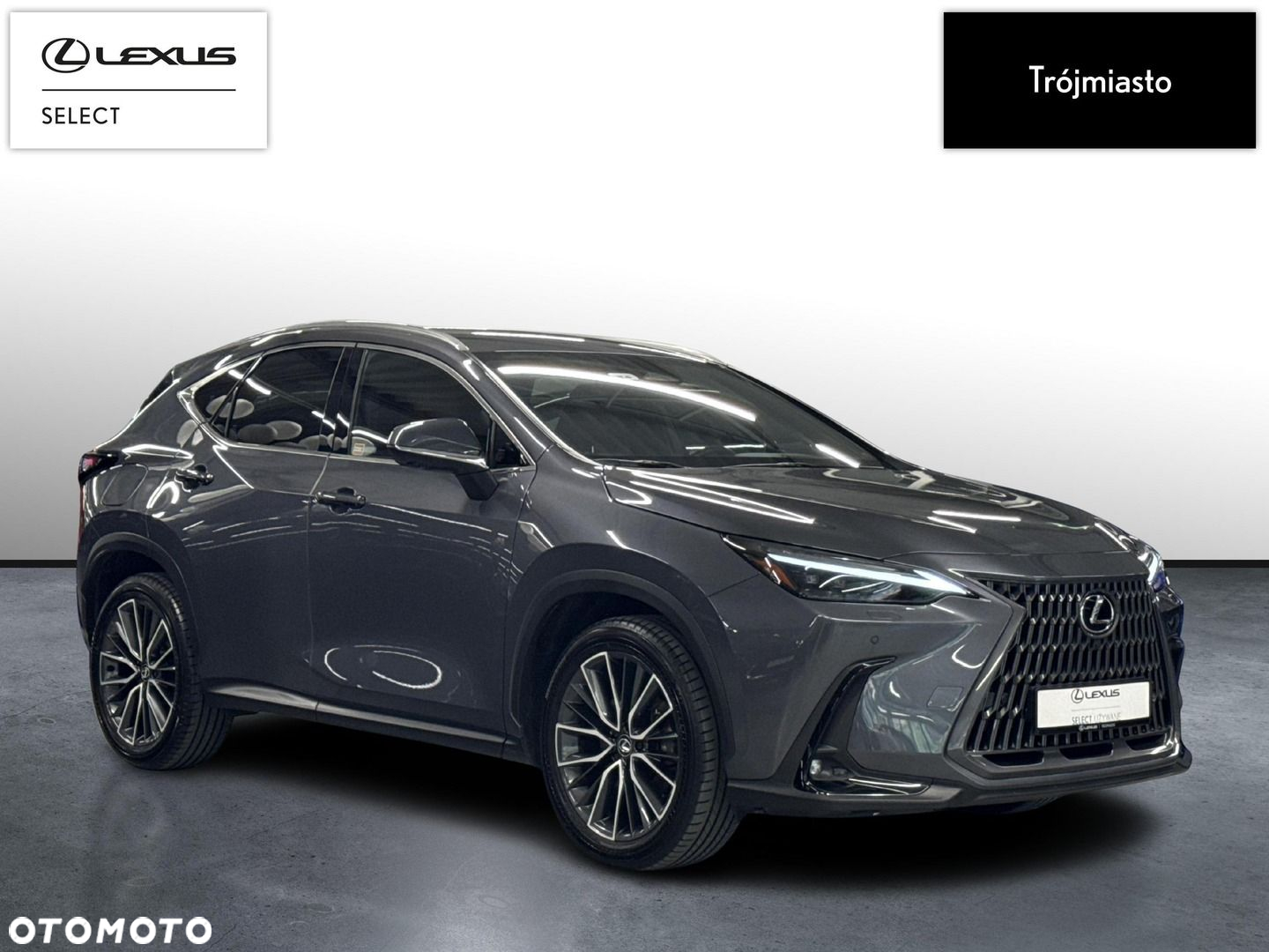 Lexus NX - 8