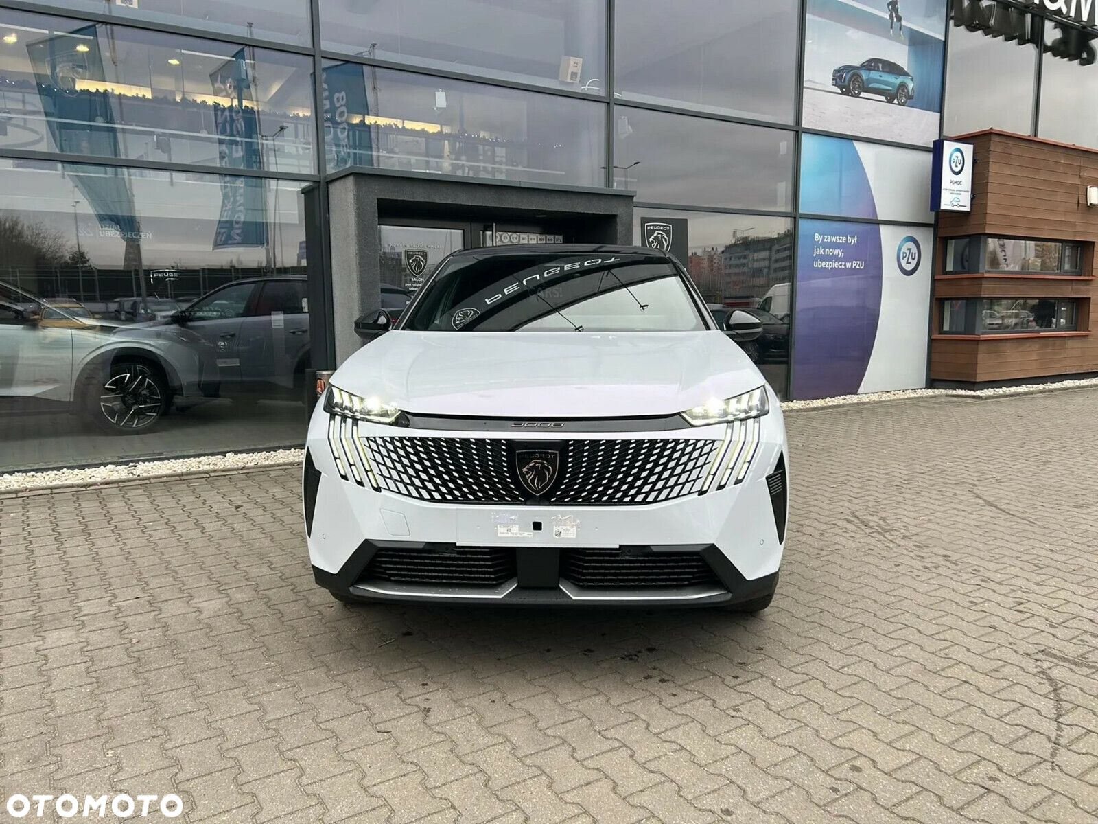 Peugeot 3008 - 8