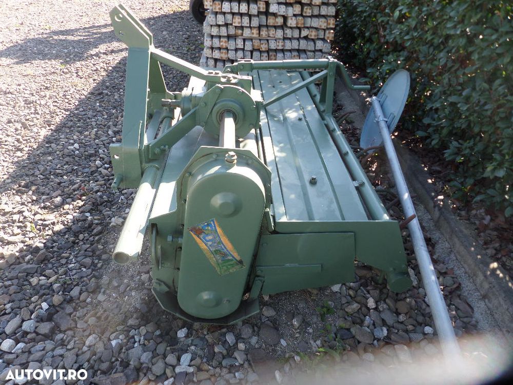 Maschio - 5