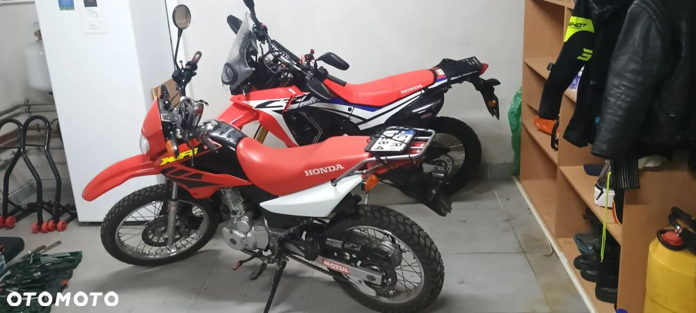Honda XR - 11