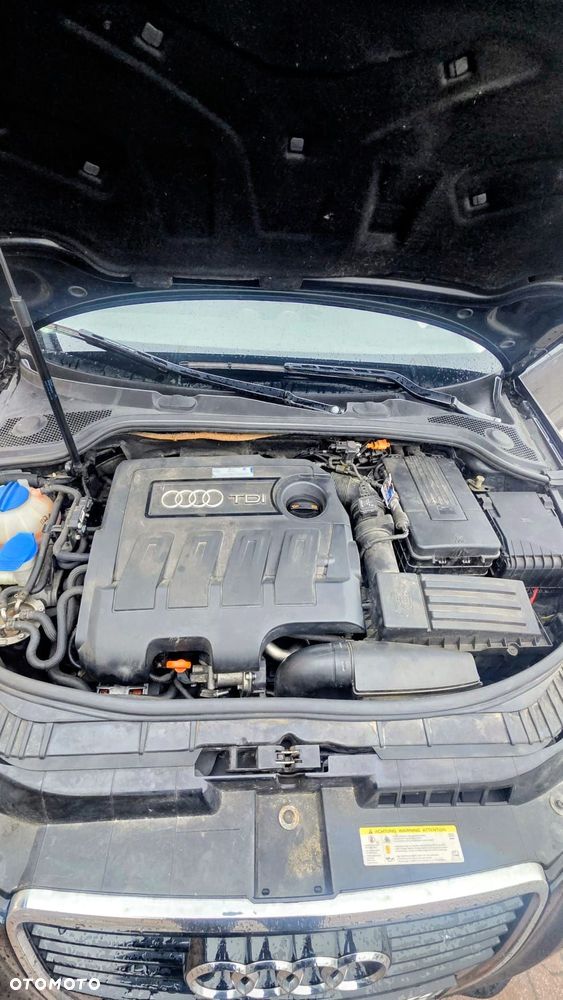 Audi A3 3-drzwiowe 1.6 TDI Ambiente - 3