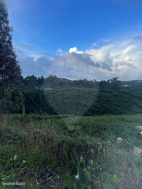 Terreno  para venda - Grande imagem: 4/10