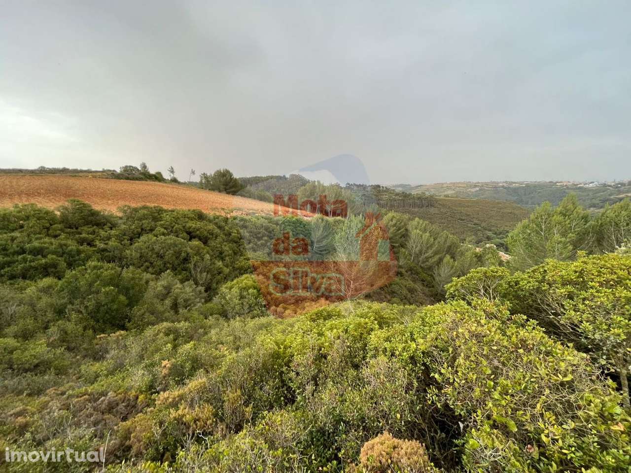 Terreno Rústico Carvoeira | Mafra - Grande imagem: 2/16