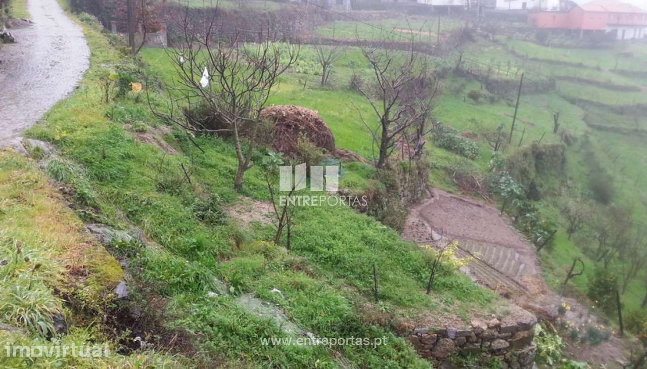 Venda Terreno, Teixeira, Baião - Grande imagem: 3/8