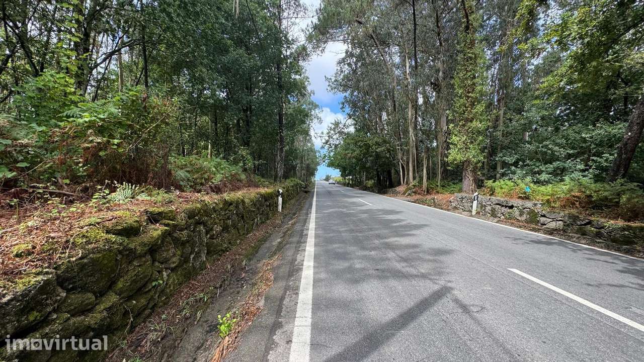 Terreno rústico com 4.245 m² e acesso pavimentado - Palmeira de Faro - Grande imagem: 2/7