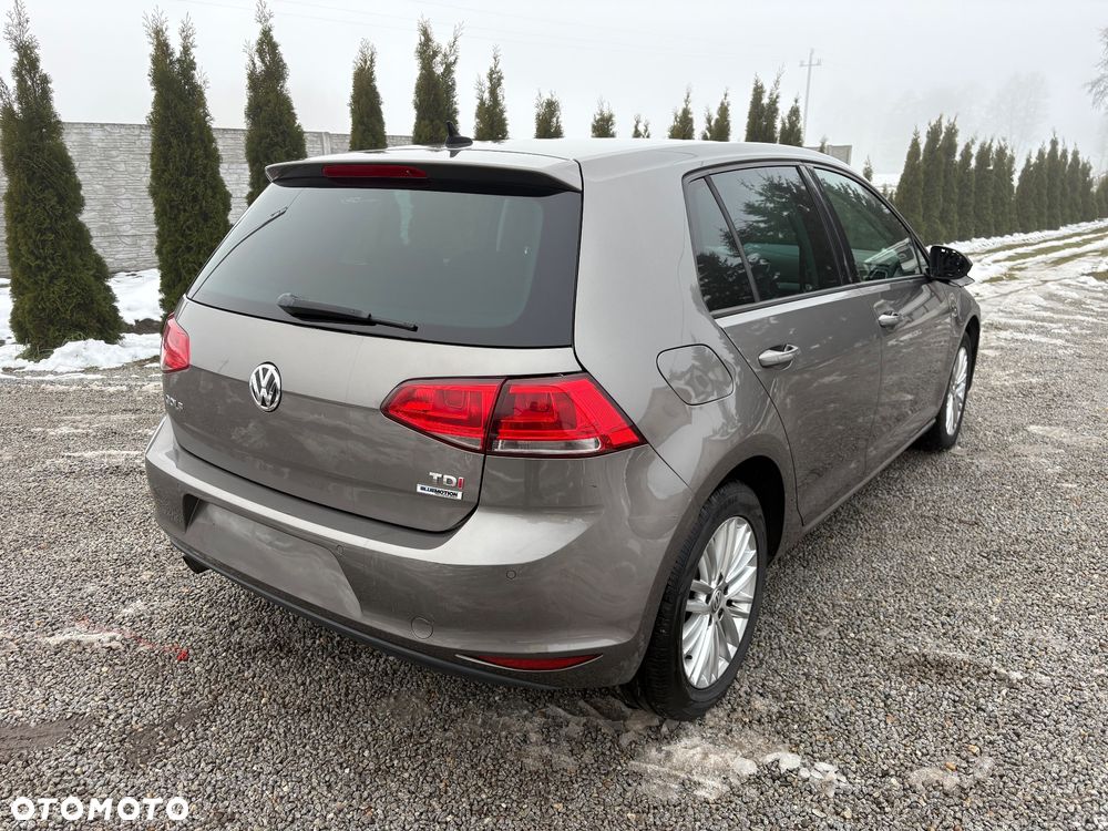 Volkswagen Golf 1.6 TDI BlueMotion Technology Cup - 12