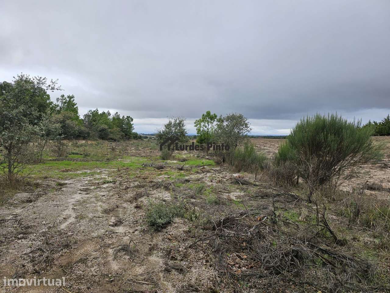 Terreno plano com bom acesso - Grande imagem: 3/3