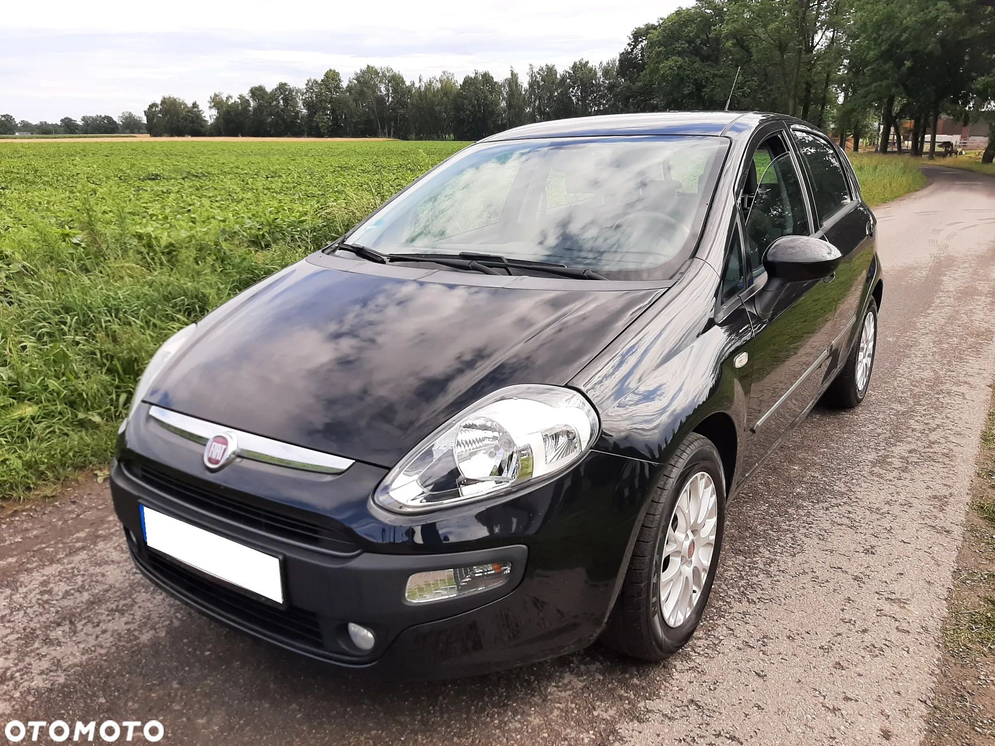 Fiat Punto Evo 1.4 8V Dynamic - 1