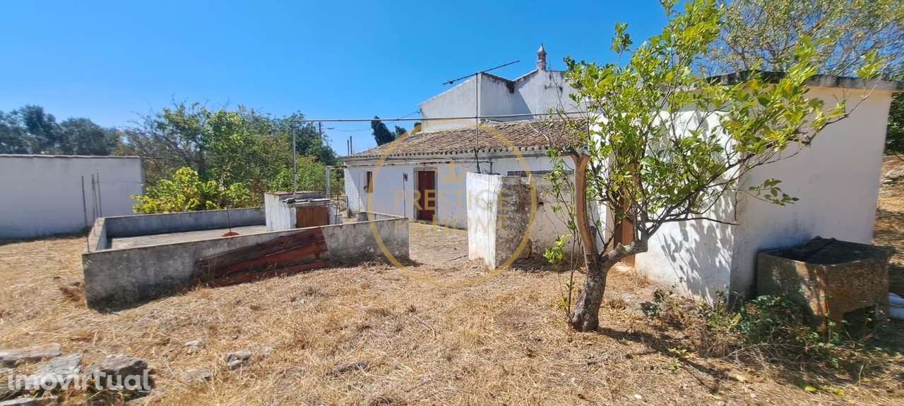 Moradia com Projeto aprovado para Reabilitação. - Grande imagem: 3/50