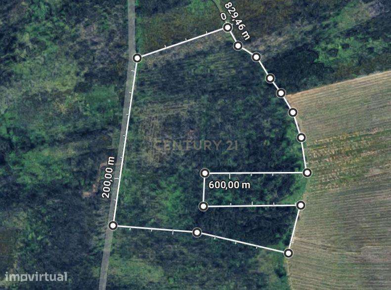 Terreno Agro-Florestal com 21.062 m² | Pedreira – Ouca | Vagos - Grande imagem: 2/7