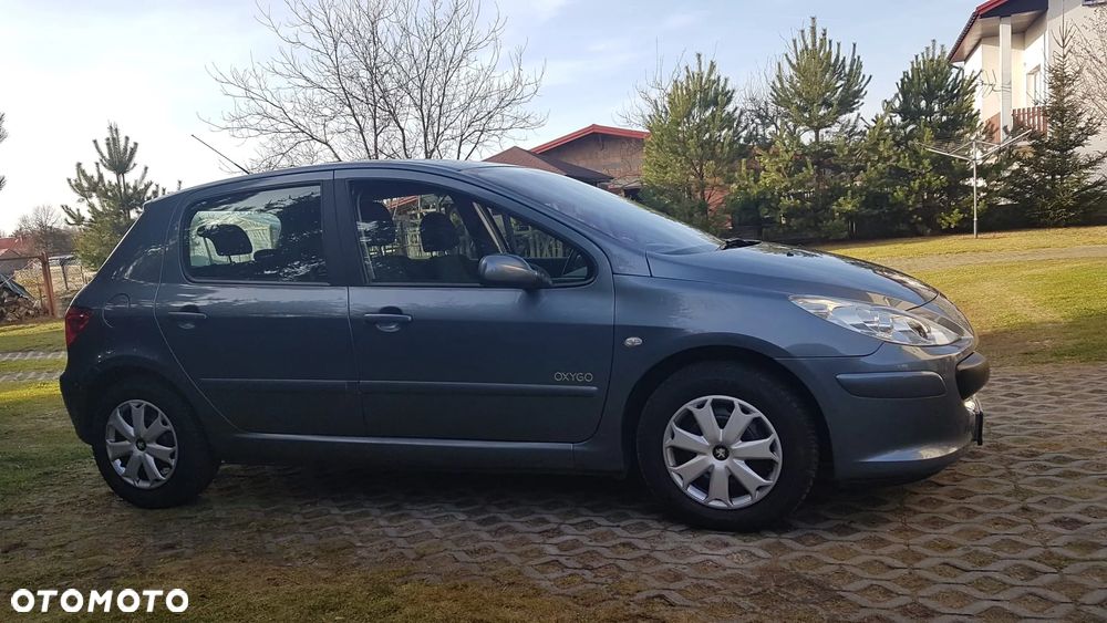 Peugeot 307 1.6 Oxygo - 12