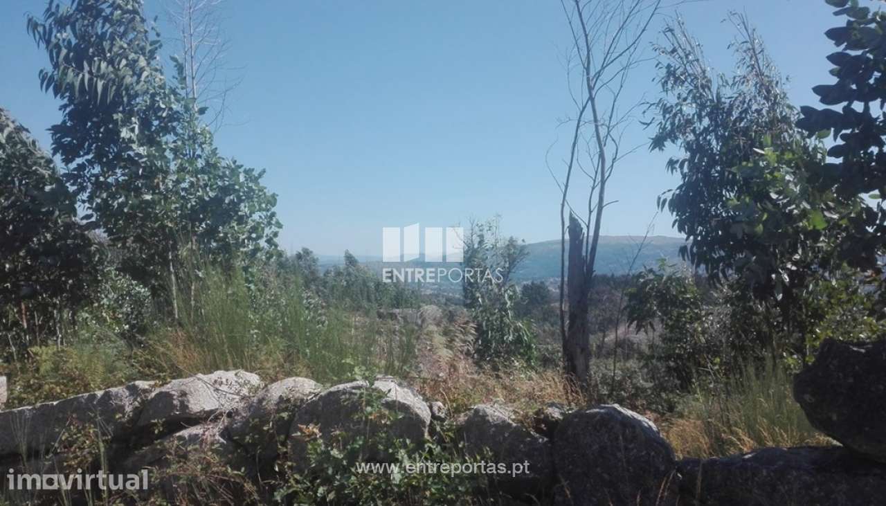Venda Terreno, Manhuncelos, Marco de Canaveses - Grande imagem: 4/6
