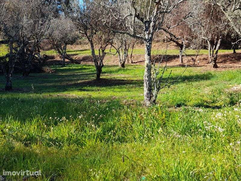 Terreno Arega Figueiró dos Vinhos, Leiria com 2.136,91 m2 e  poço muit - Grande imagem: 4/10