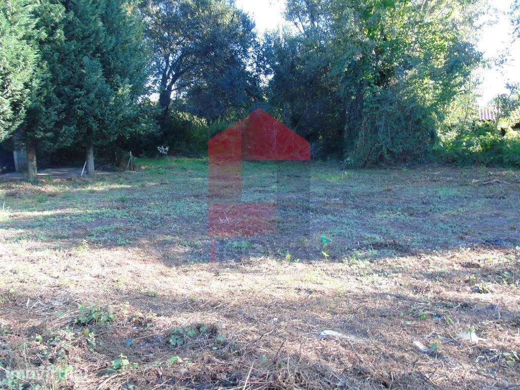 Terreno agrícola, Lage - Grande imagem: 2/4