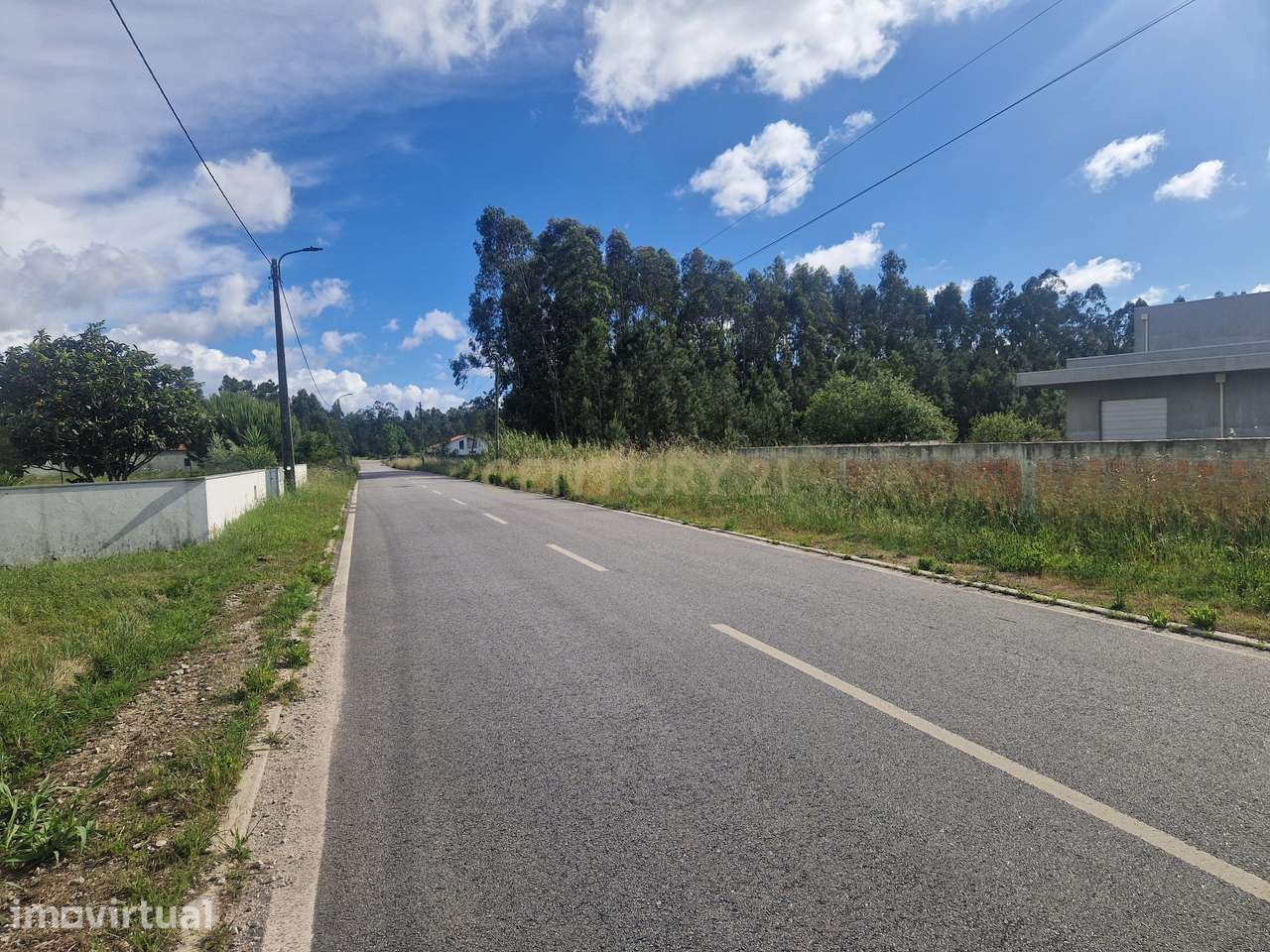 Terreno Urbano na Rua Principal do Andal, Vagos - 3590m² com Acesso à - Grande imagem: 3/4