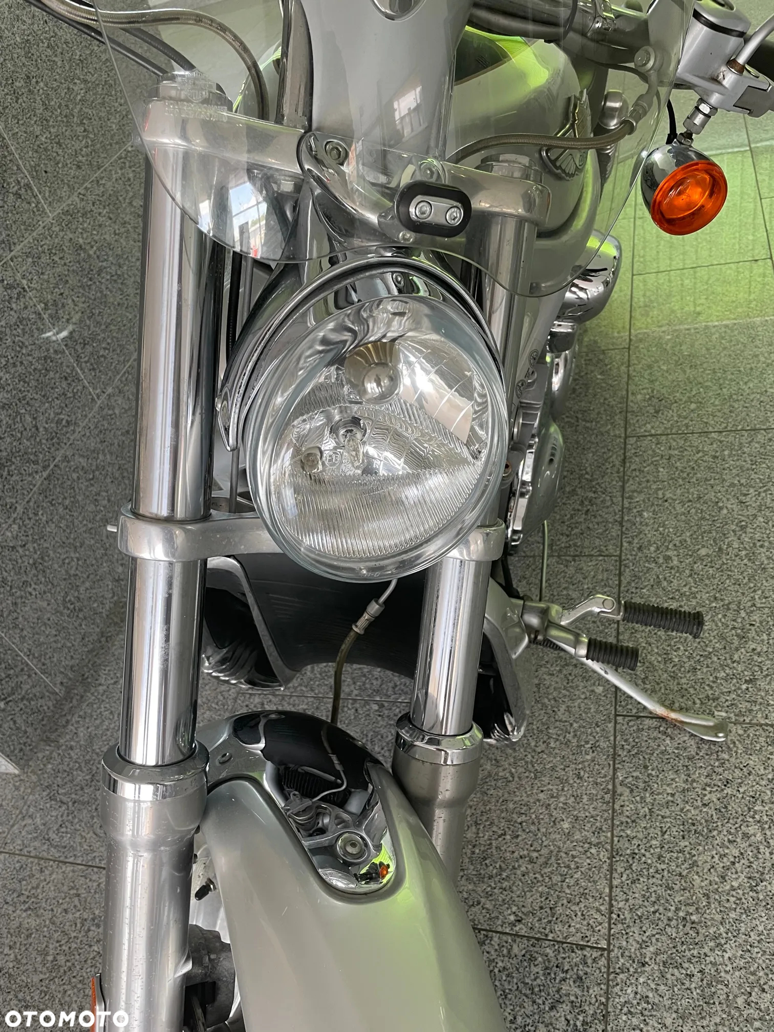 Harley-Davidson Softail V-Rod - 3