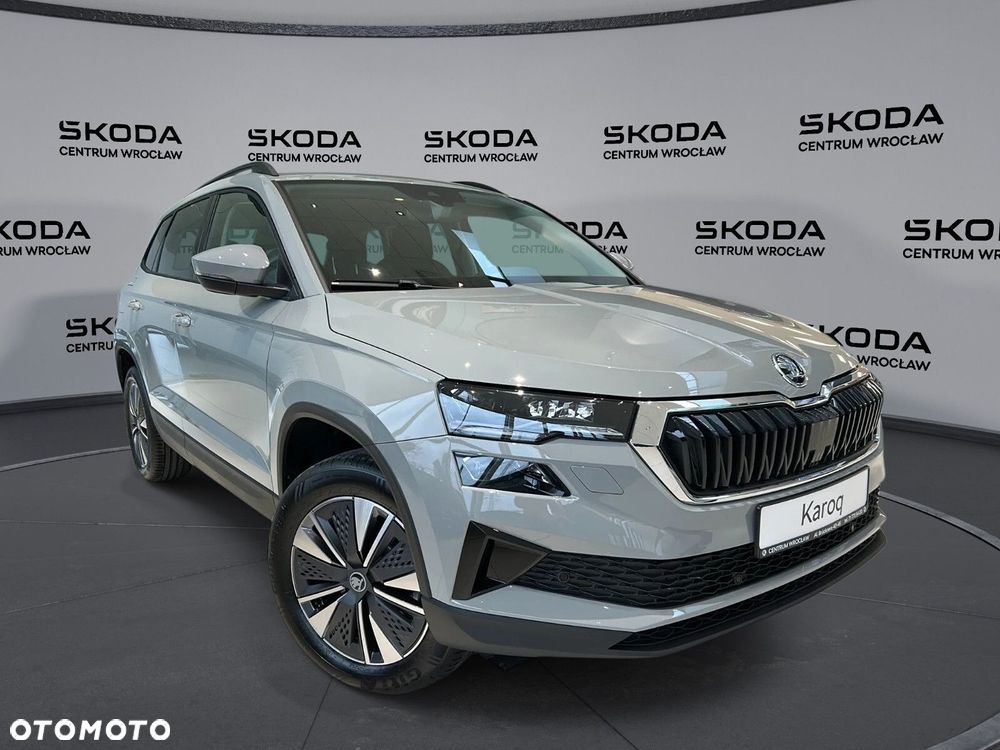 Skoda Karoq - 12