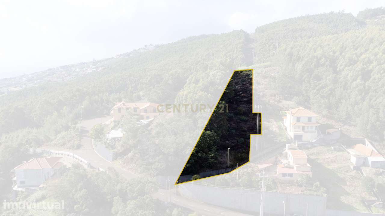 Terreno de 1300 m² – Santa Cruz - Grande imagem: 4/26