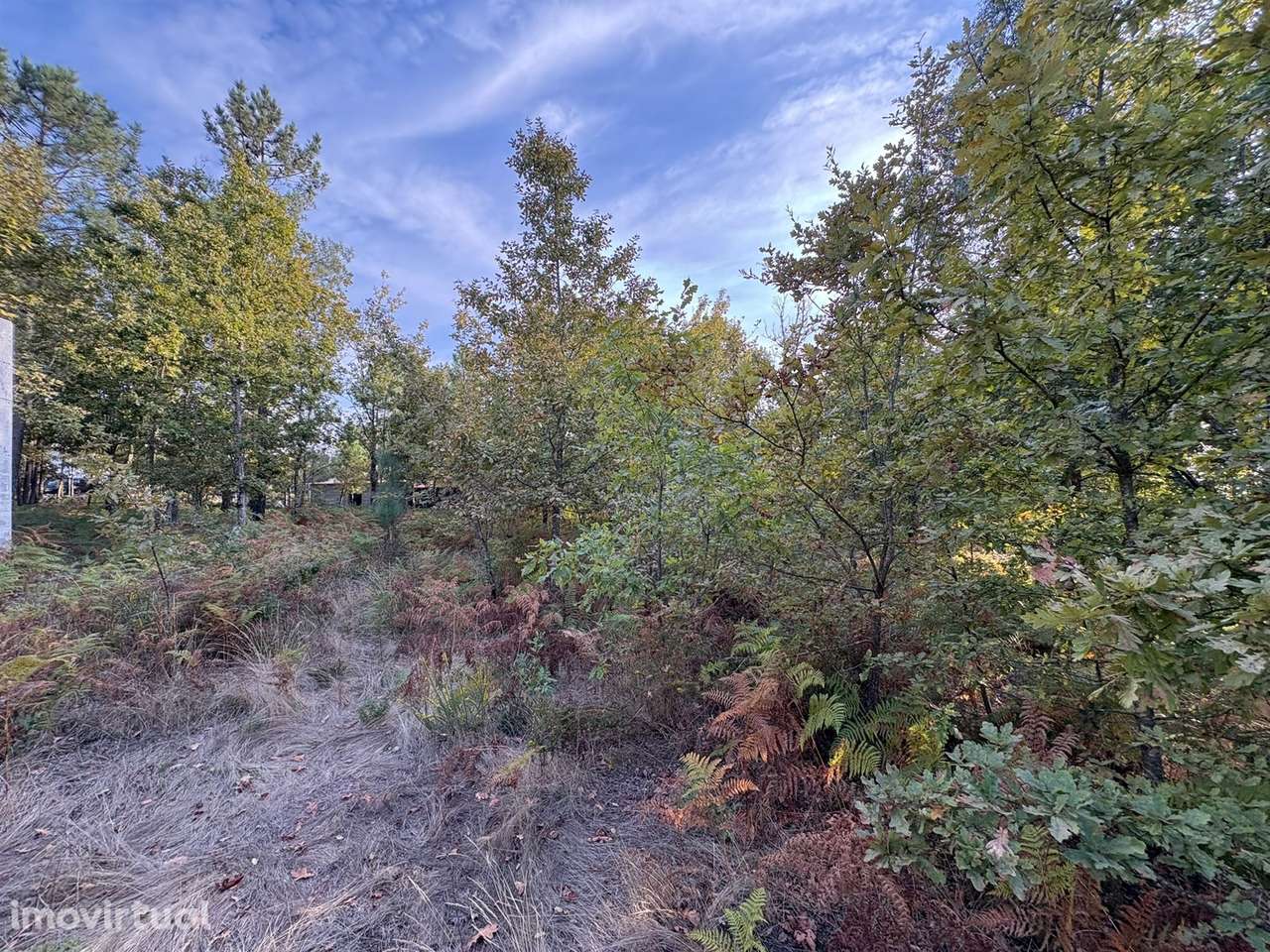 Terreno Para Construção  Venda em Bodiosa,Viseu - Grande imagem: 3/4