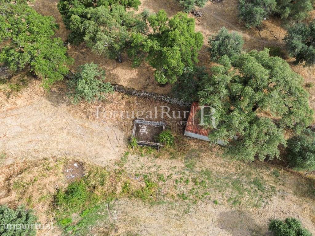 Quintinha de 1.8 hectares em Medelim - Grande imagem: 5/31