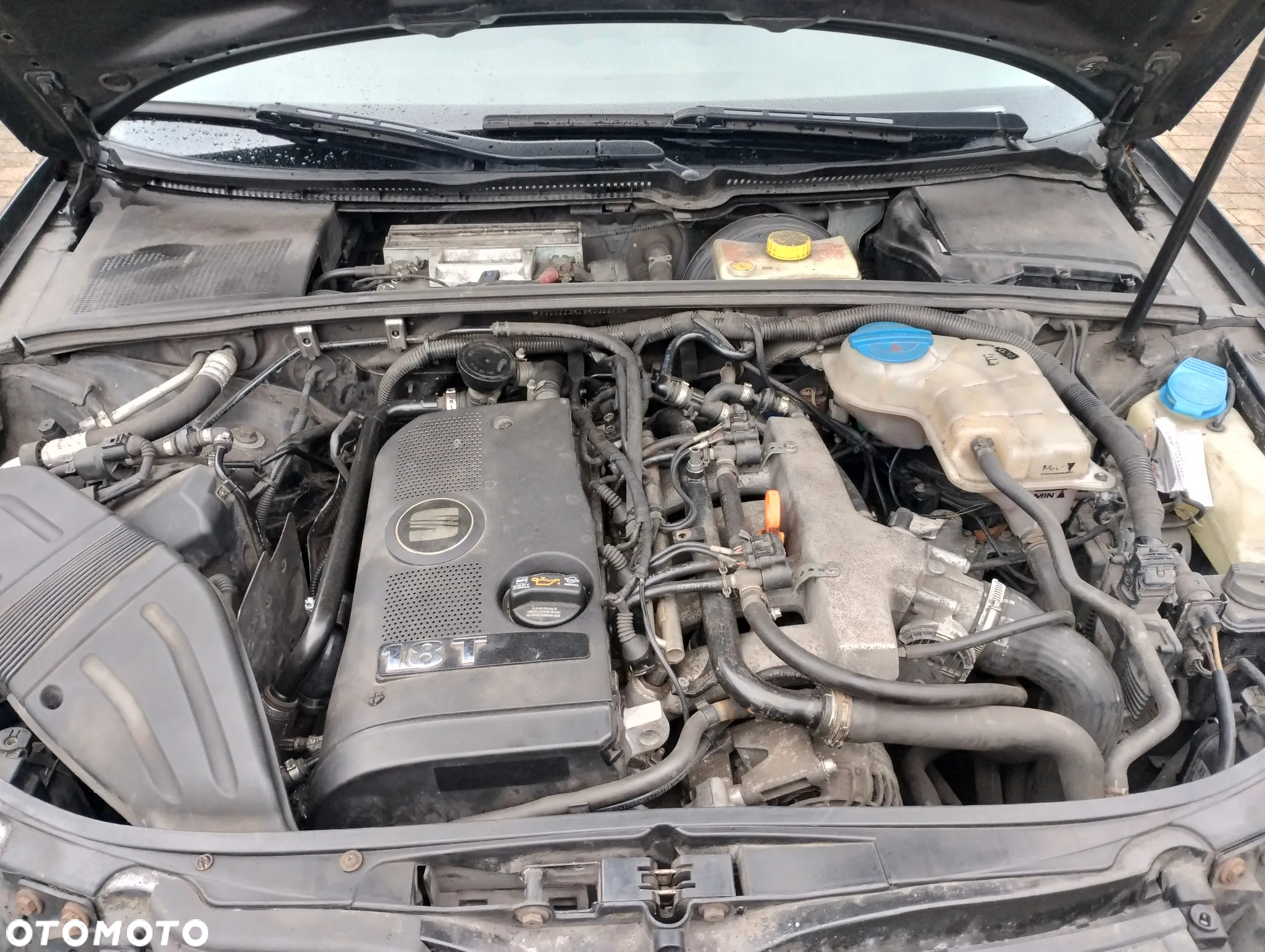 Seat Exeo 1.8T Reference - 10