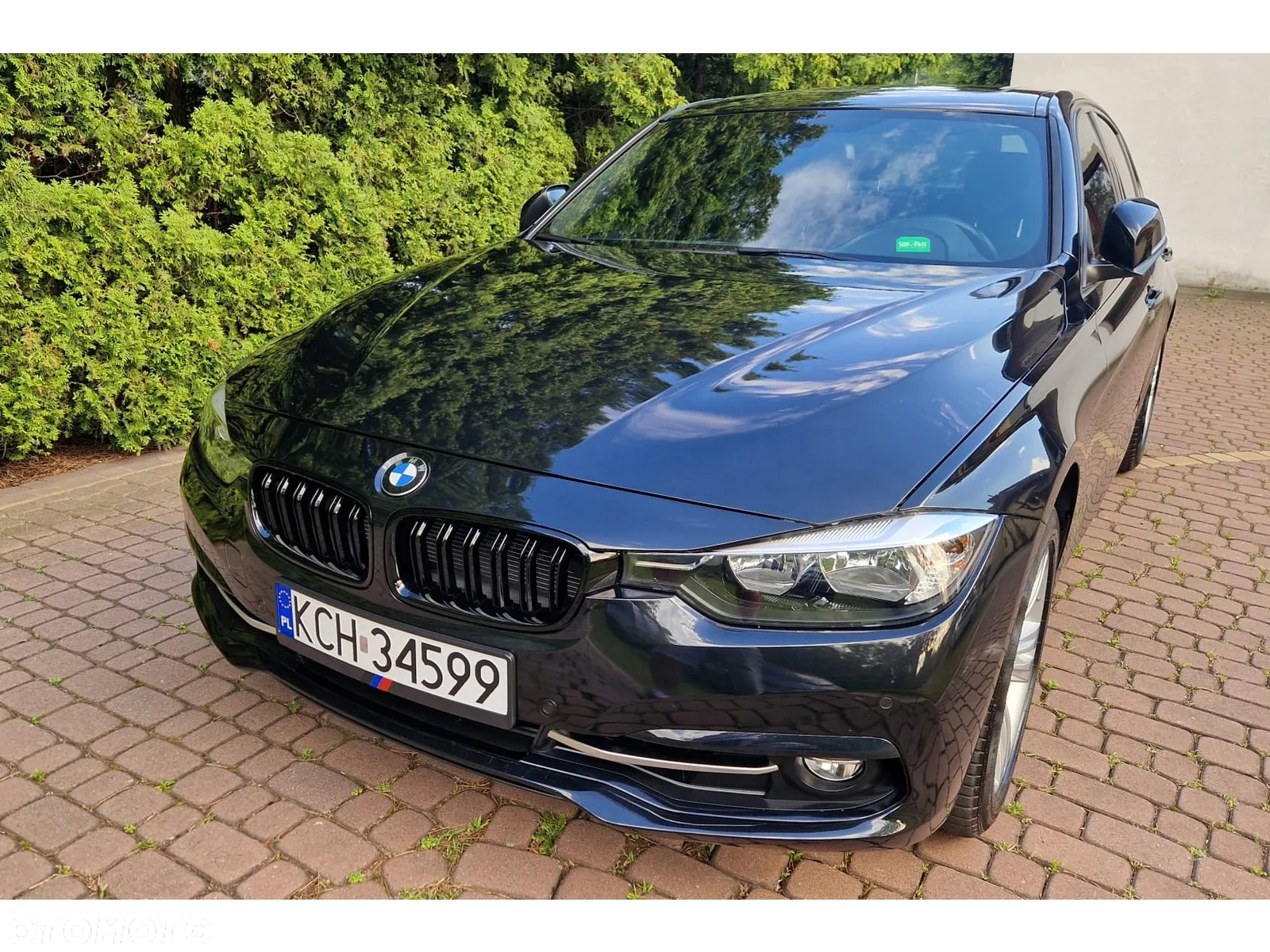 BMW Seria 3 - 8