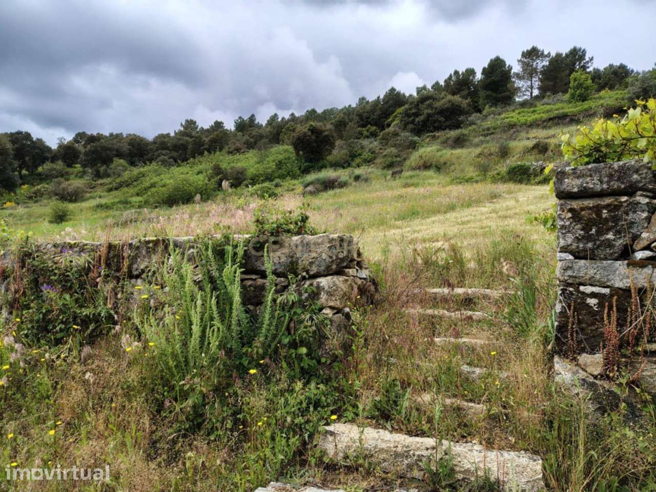 Quinta com casa e anexos em pedra - Grande imagem: 2/43