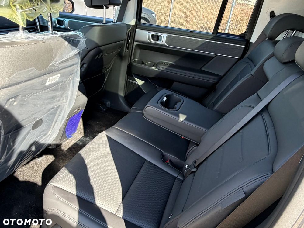 Hyundai Santa Fe - 17