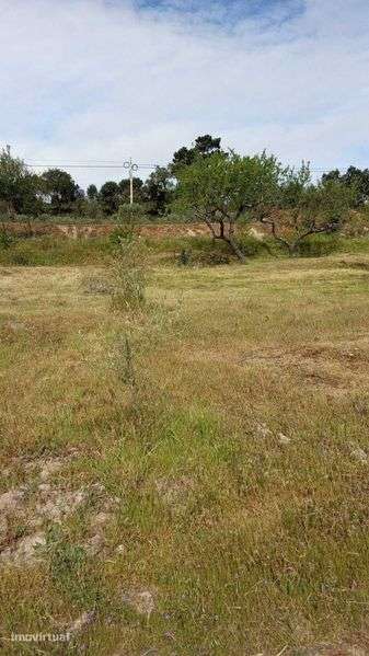 Terreno Agricula - Grande imagem: 2/12