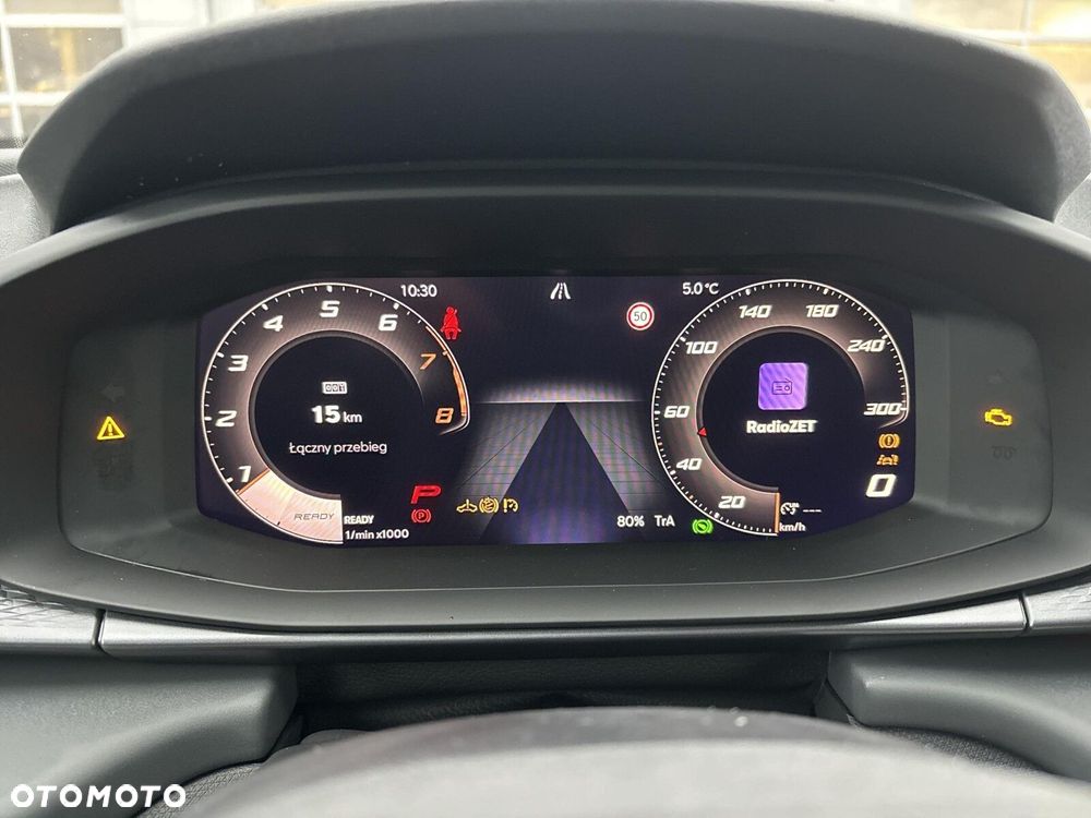 Cupra Terramar 2.0 TSI 4Drive DSG - 22