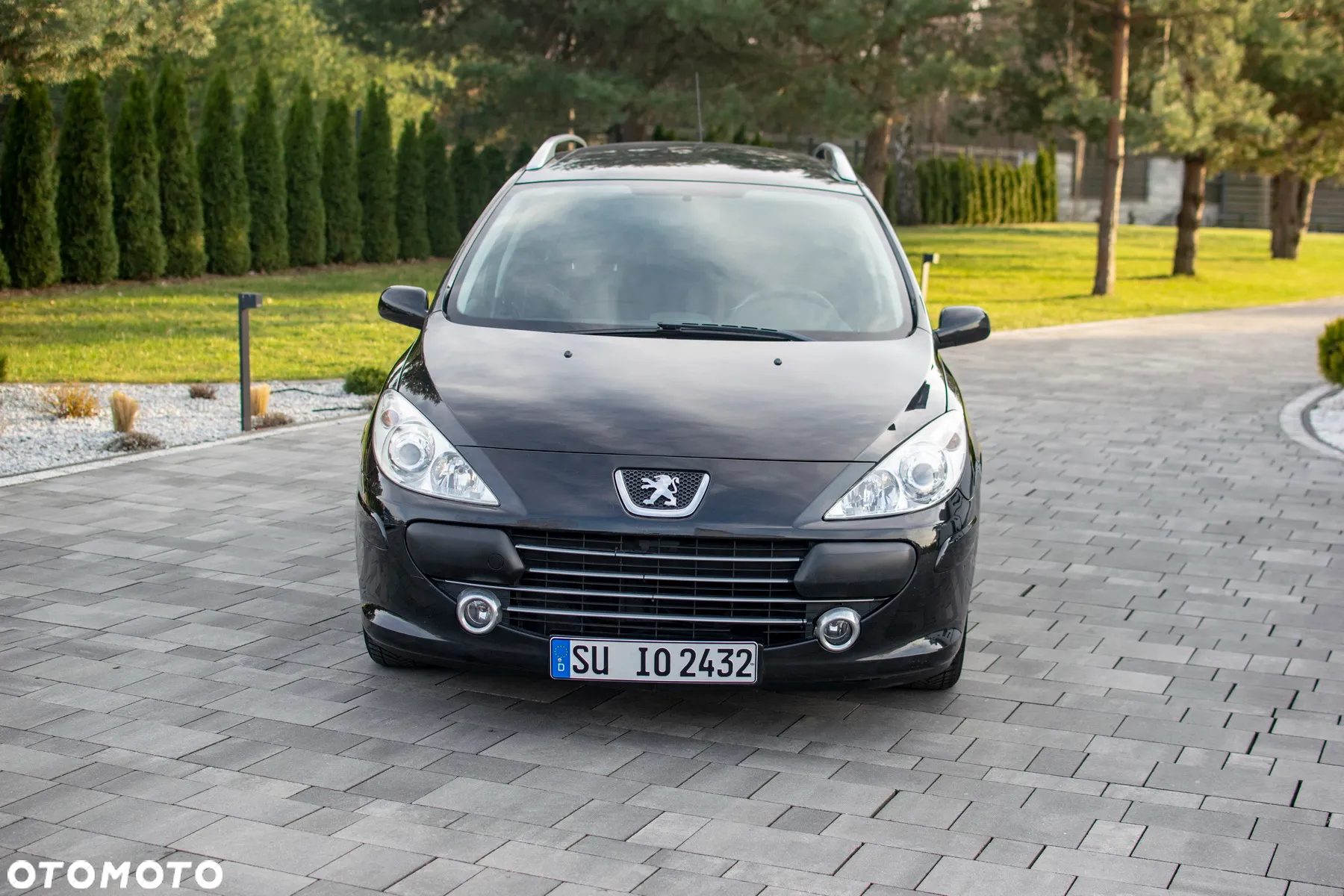 Peugeot 307 - 8