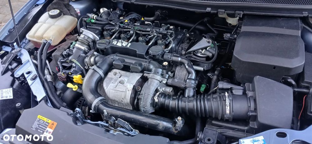 Ford Focus 1.6 TDCi Ambiente - 21